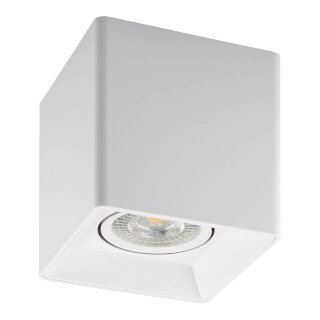 Потолочный светильник Denkirs DK3030-WH белый