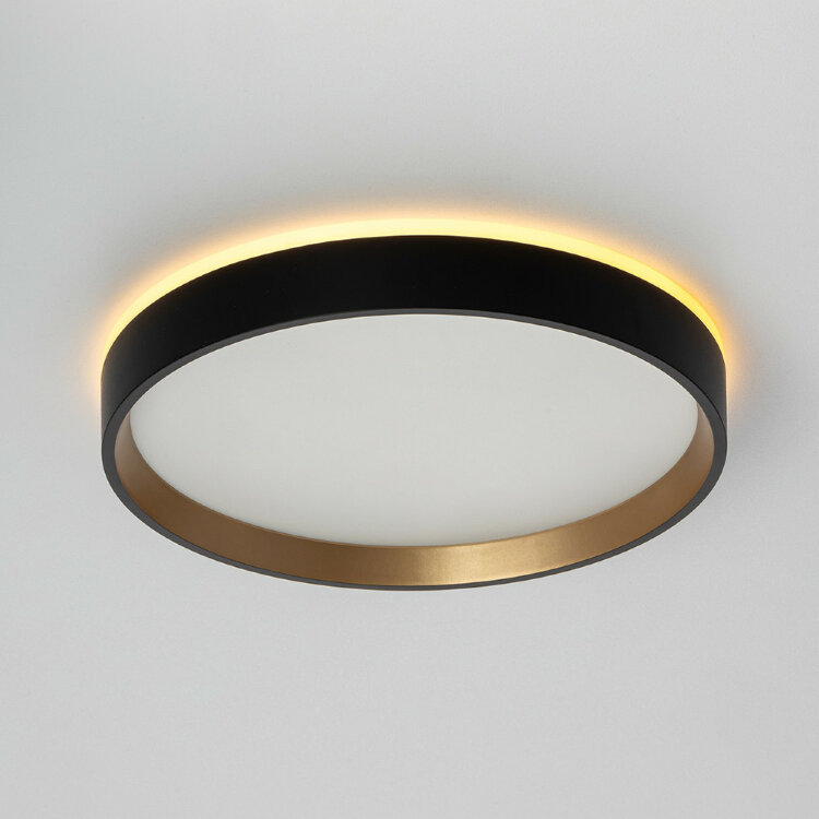 Светильник настенно-потолочный Citilux Etalon CL750241