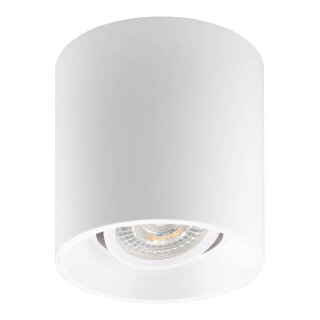 Потолочный светильник Denkirs DK3040-WH белый
