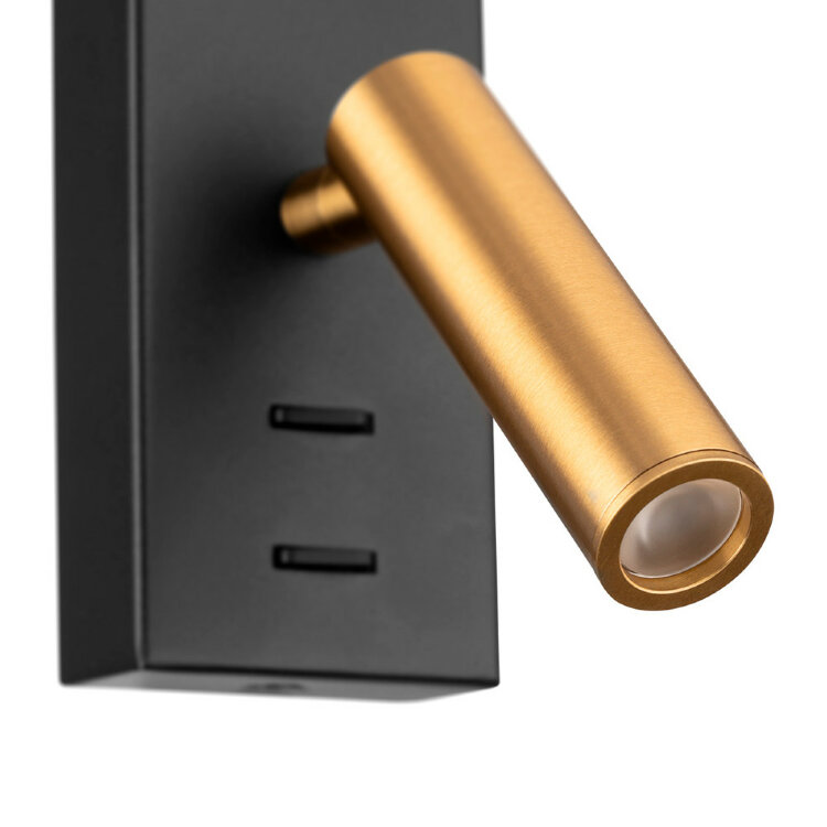 Спот CITILUX CL704451 Декарт черный+бронза