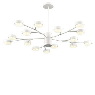 Светильник потолочный Lumion Torina 8265/15
