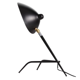 Настольная лампа ST LUCE SL305.404.01
