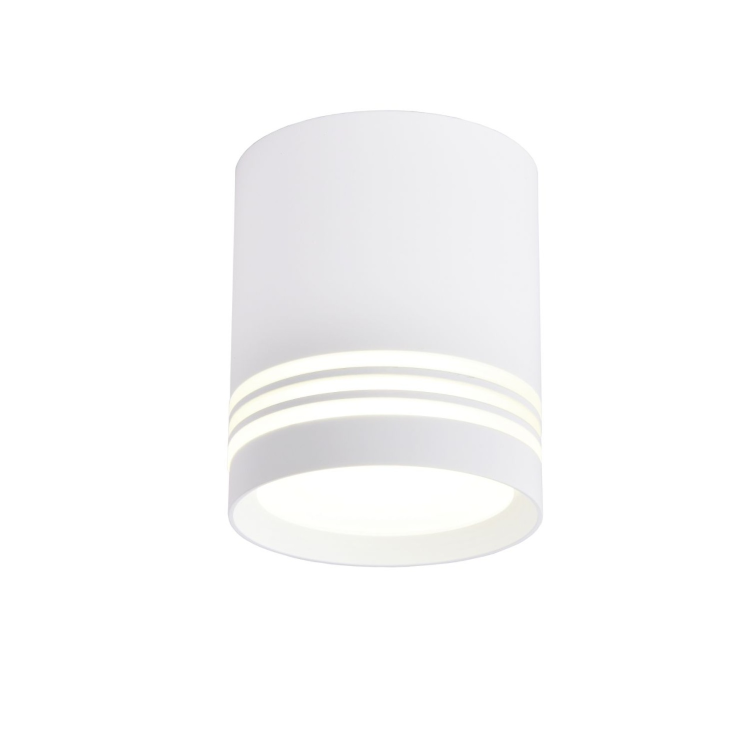 Потолочный светодиодный светильник Favourite 3065-1C
