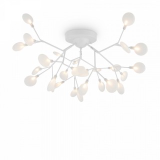 Потолочный светильник Florencia Freya FR5049CL-27W1