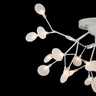 Потолочный светильник Florencia Freya FR5049CL-27W1