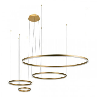 Подвесной светодиодный светильник Loft IT Ring 10017/4S