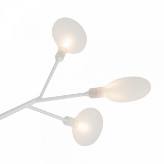 Потолочный светильник Florencia Freya FR5049CL-36W1
