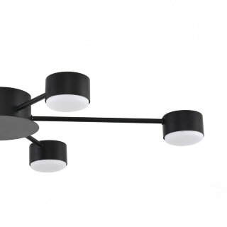 Светильник потолочный Lumion Torina 8344/6C