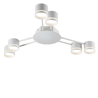 Светильник потолочный Lumion Gareta 8235/6C