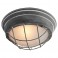Потолочный светильник Lussole Loft GRLSP-9881